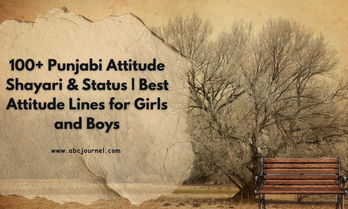 100+ Punjabi Attitude Shayari & Status _ Best Attitude Lines for Girls and Boys